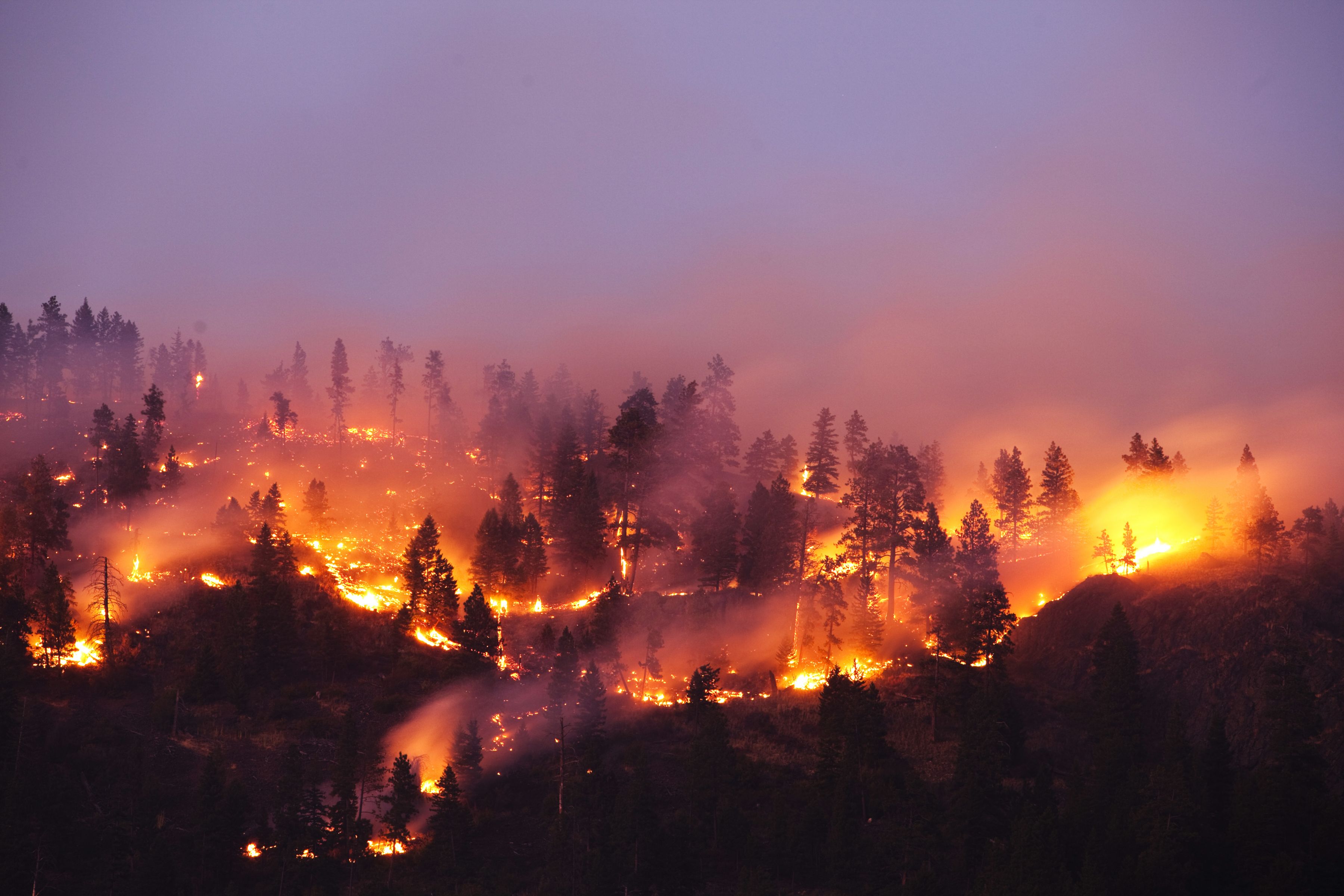 Tips for managing your distress related to wildfires